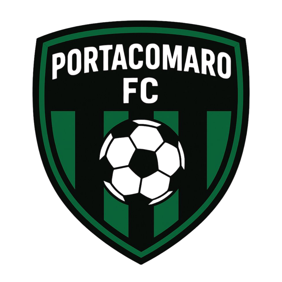 Portacomaro Fc